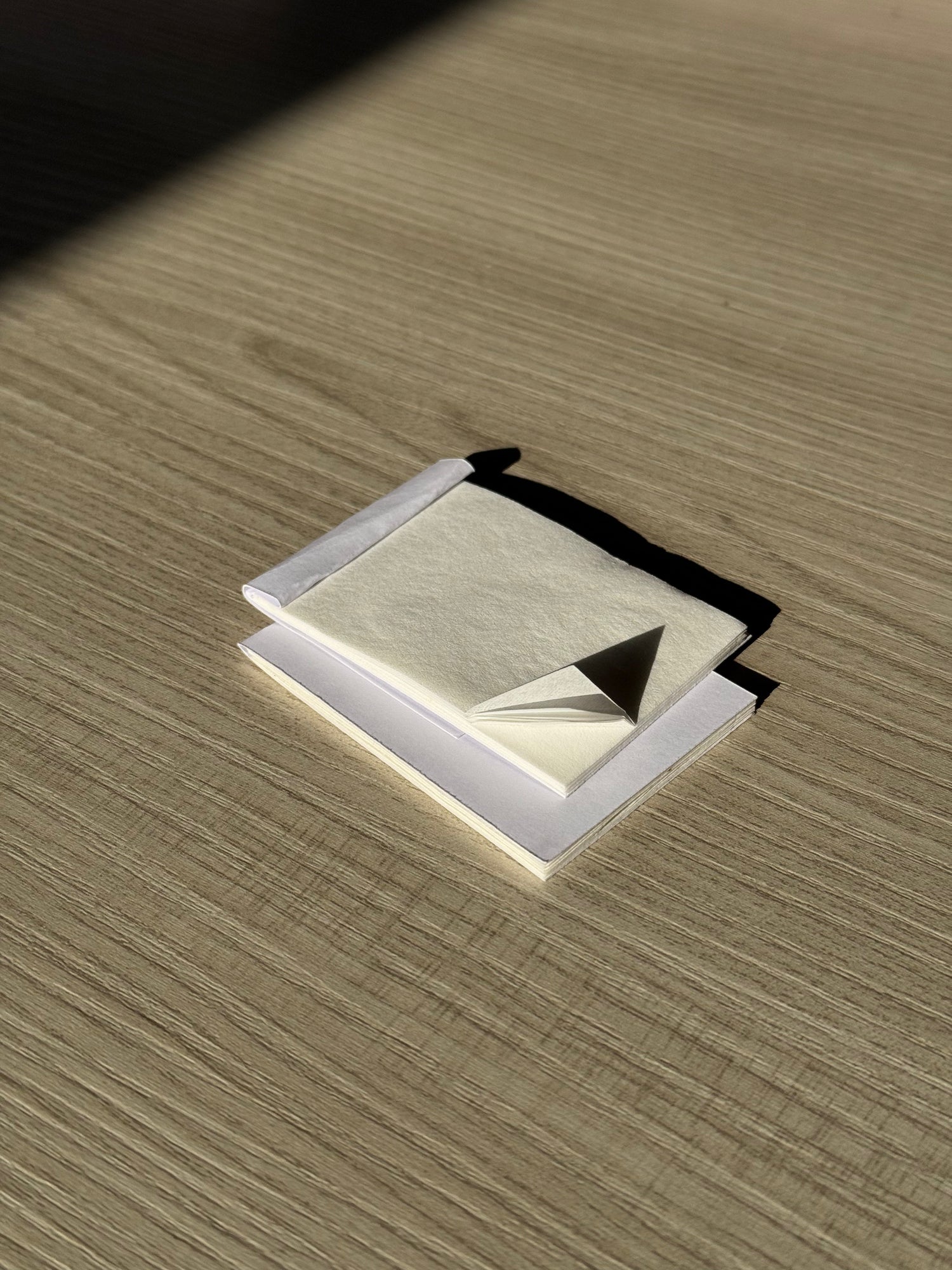 🔥 ( X12 )– Recarga de Llama™